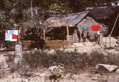 Reed and thatch house in Puerto Vallarta, Mexico