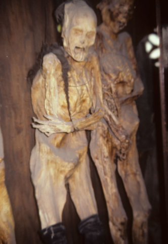 Two adult mummies in Guanajuato, Mexico