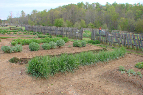 Moravian garden