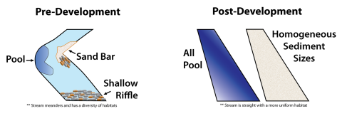 Changes in stream habitats after development