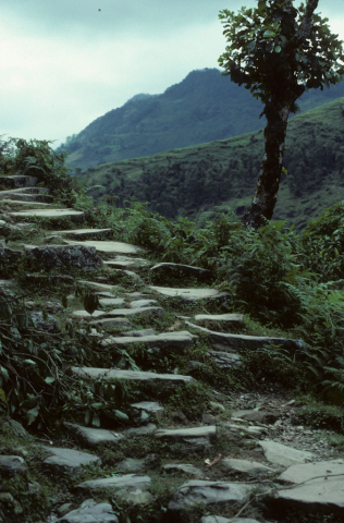 Stone steps