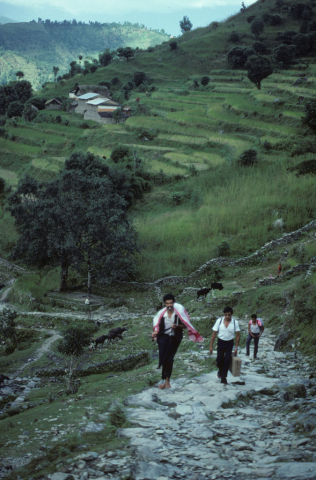 Climbing the mountain trails