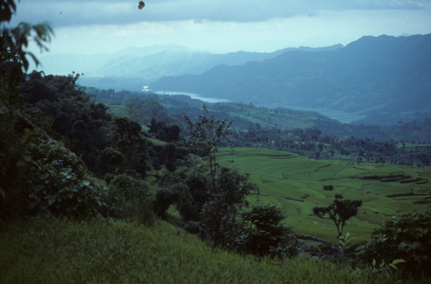 Cascading rice-fields over Phewa Lake, Pokhara