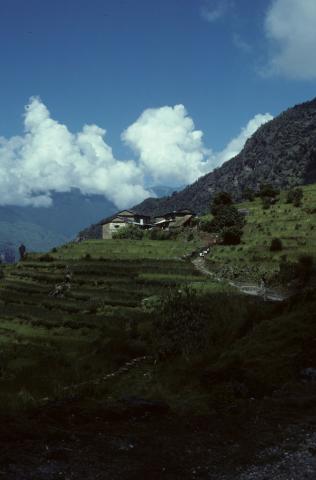 A village on a hillside, terraced fields and white clouds