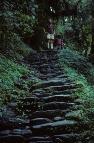 Stone steps along a mountain trail