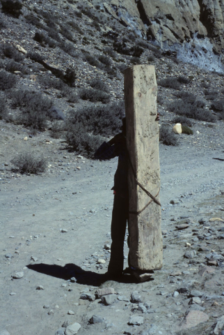 Porter hauling timber