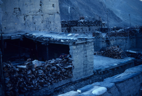 Flat, mud-roofed houses in Kaagbeni, Nepal