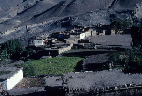 Purang village with green fields and surrounding arid lands