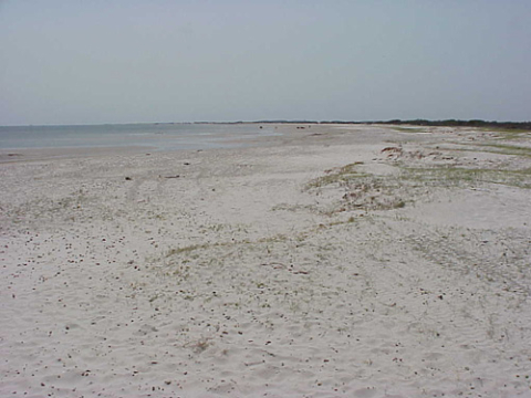 Peninsula-Carteret County