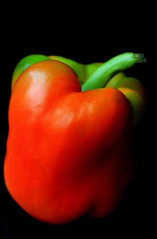 Ripening bell pepper