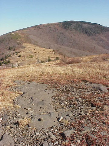 Plutonic gabbro