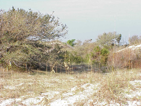 Protected habitat