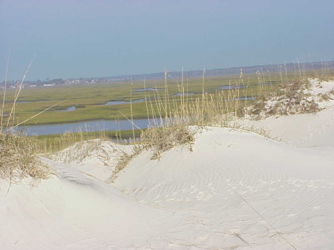 Salt marsh behind Bear Island west of Bogue Inlet