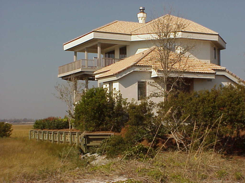 Living on a salt marsh