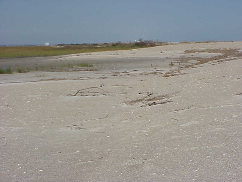 Mansonboro Island after Hurricane (sand lobes)