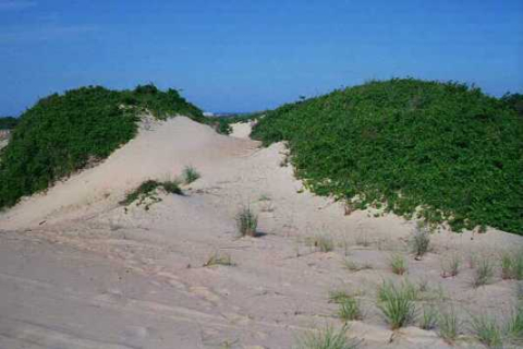 Growth and migration of Run Hill Dune