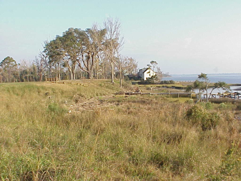 Ancient shoreline in Swansboro, NC