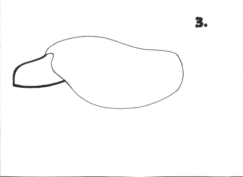 Sea turtle drawing: step 3 of 9