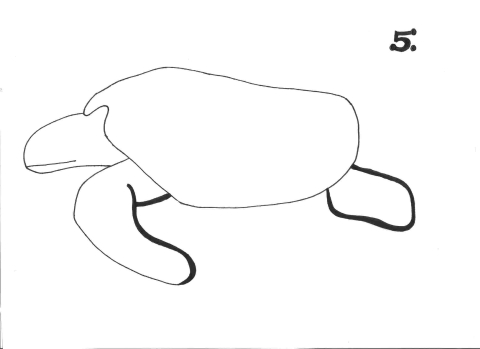 Sea turtle drawing: step 5 of 9