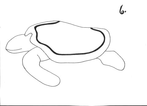 Sea turtle drawing: step 6 of 9