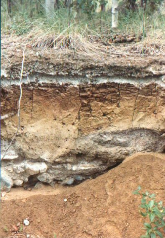 Stratigraphy