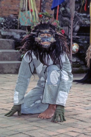 Masked monkey dancer performs at Batubulan Village in Bali