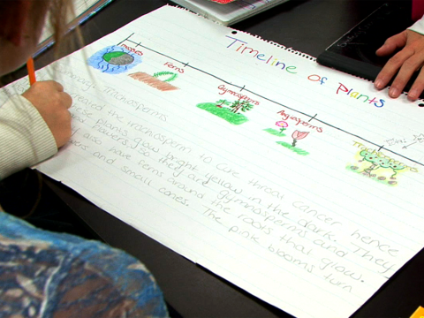 Student assignment: Plant timeline