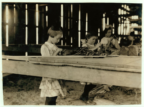 Little girls work in the interior of a tobacco shed