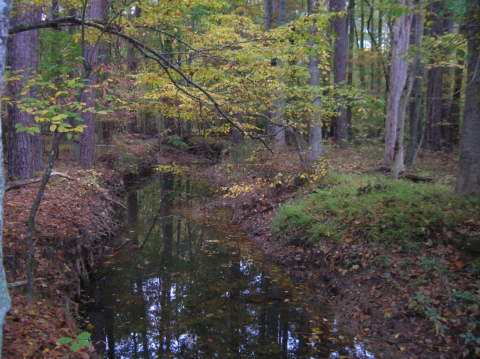 Upper Mud Creek 2 of 3