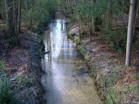 Urban stream 3 of 4