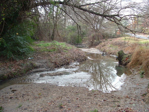 Urban stream 4 of 4