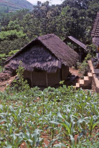 A thatched-roof house in the rural highlands between Hoa Binh and Mai Chau