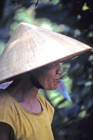 Profile of a rural Vietnamese woman in a palm leaf sunhat