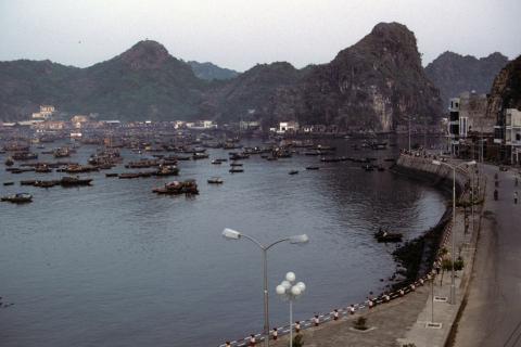 Fishing boats moored in the harbor and waterfront street at Cat Ba