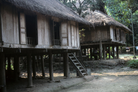 Two thatch-roofed houses elevated on wood columns at Mai Chau