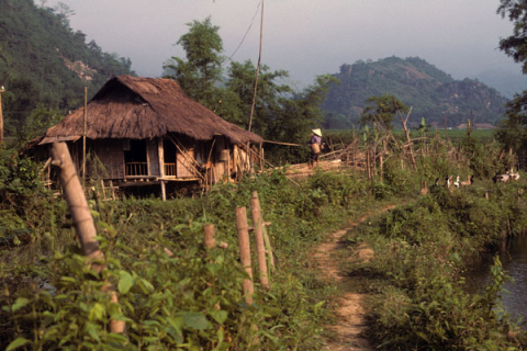 Highland field house with a farmer and ducks near Mai Chau