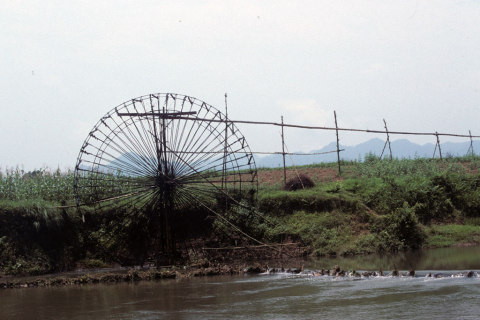 Bamboo water wheel irrigating rice fields at Mai Chau