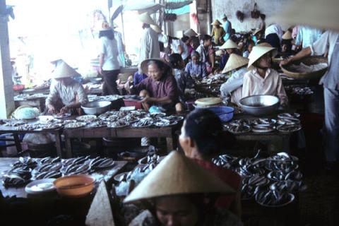 Women processing plates of fish on tables at fish market in Hoi An