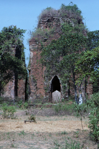 Cham tower overgrown by vegetation south of Hai An