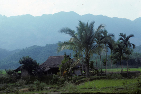 Thatched roof farm house in highland rice fields of Mai Chau