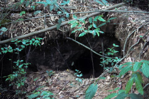 Trap entrance into underground Vietnam War tunnel at Cu Chi