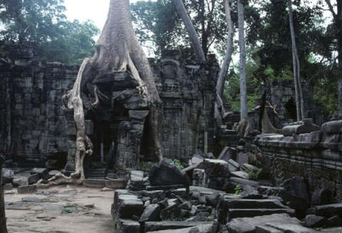 Stone courtyard crumbling under weight of trees in Preah Khan Temple at Angkor