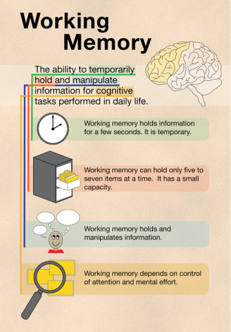 Working memory illustration