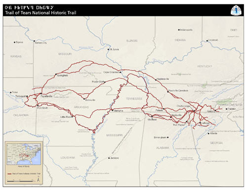 A map with red lines showing the different Trail of Tears routes through different states. Shows different tows that the trails went through. 