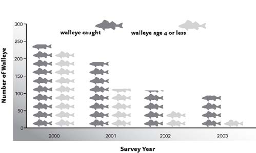 More walleye data.