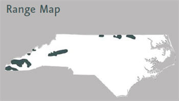 Walleye Locations, NC.